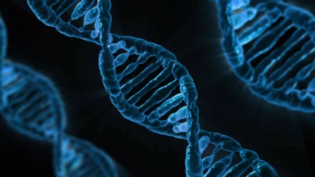 Graphic of DNA strand