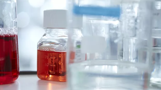 Laboratory flasks with transparent red fluid.