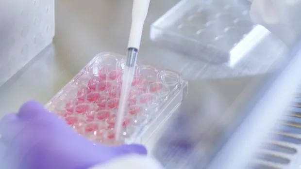 Close up of blue-gloved hands working in a lab