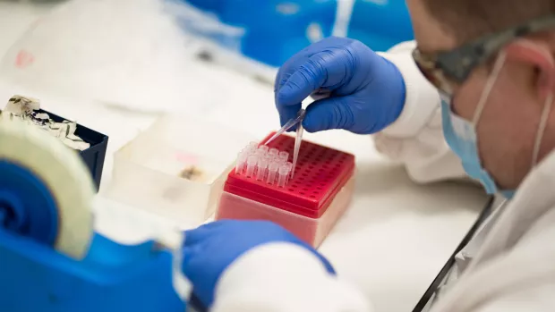 A researcher loads samples into a tray in a lab