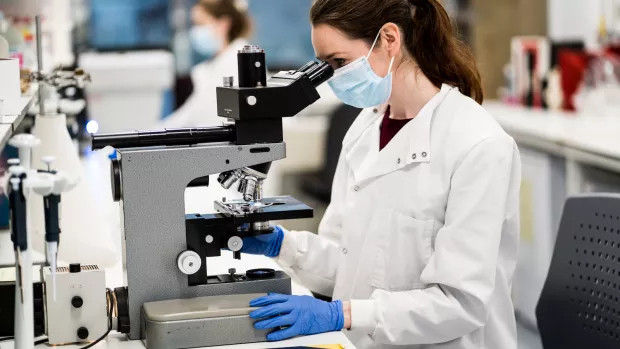 Researcher looking through microscope