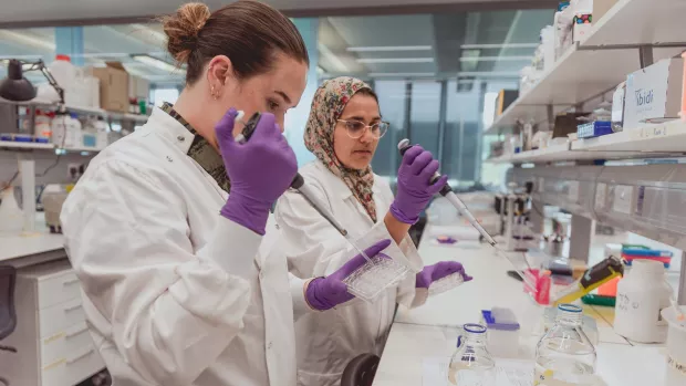 Two researchers wearing purple gloves at work in a lab