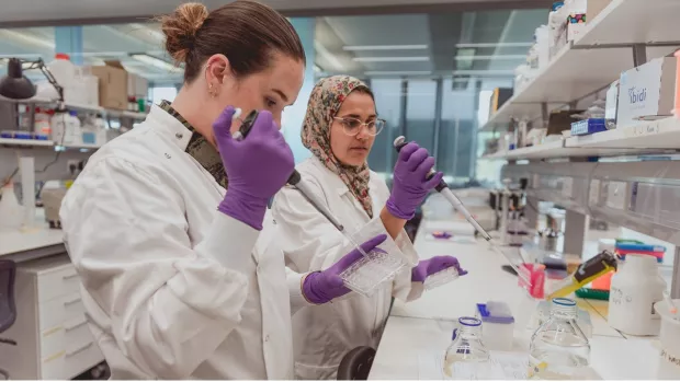 Researchers in lab 