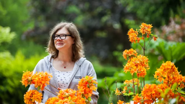 Person standing behind orange flowers