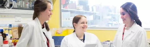 Photo: Group of researchers talking in the lab