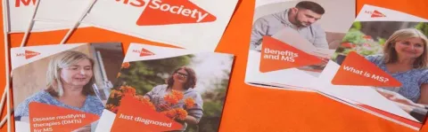 Photo: MS leaflets and flags
