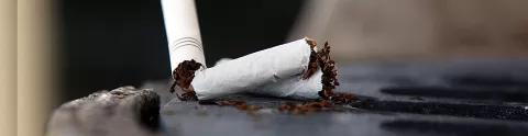 A crunched up cigarette representing the link between smoking and MS.