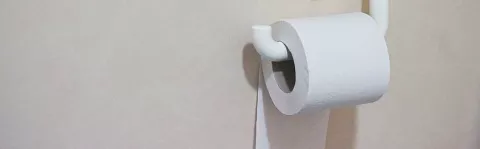 Bowel