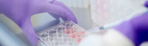 Generic research