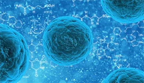 a Stem cells