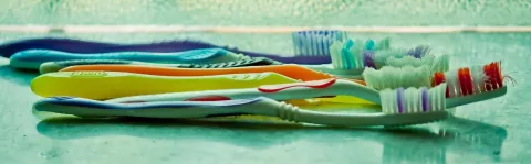 a photo of Toothbrushes