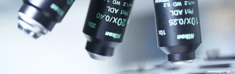 Order minocin online