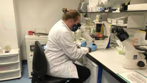 Alistair looks into a microscope at the lab, wearing a white coat, gloves and face mask