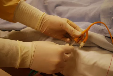 Gloved hands holding a catheter