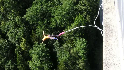 I figure is bungee jumping over dense woodland the bungee attached to a bridge