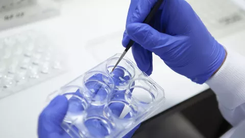 CLose up of a researcher's gloved hands at work in a lab