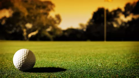 Photo of a golf ball on a golf green