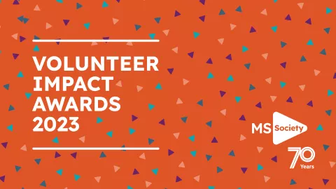 Slogan Volunteer Impact Awards 2023 on an orange background with coloured spots