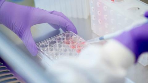 Photo: Close up of researcher using a pippette