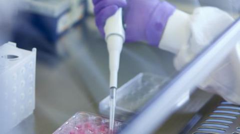 Image shows a scientist using a pipette and test tubes in a laboratory